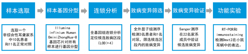全外顯子組測(cè)序研究思路配圖