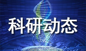?DNA 甲基化研究，該如何選擇合適的技術(shù)？怎么發(fā)文章？