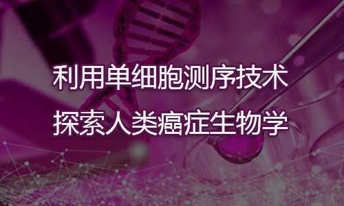 利用單細胞測序技術(shù)探索人類癌癥生物學(xué)