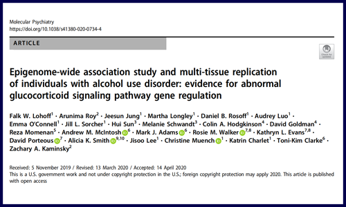 文獻(xiàn)集錦│5 月 DNA 甲基化研究新鮮速遞