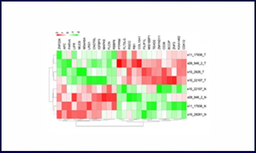 基因芯片在 FFPE 樣本檢測中的應用