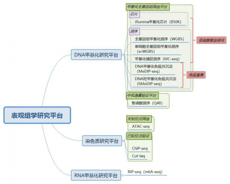  伯豪生物表觀遺傳學(xué)研究平臺簡介圖 