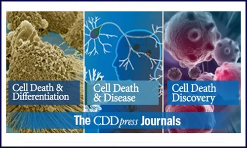 轉(zhuǎn)錄組學(xué) | 在胃腸腫瘤研究中的應(yīng)用