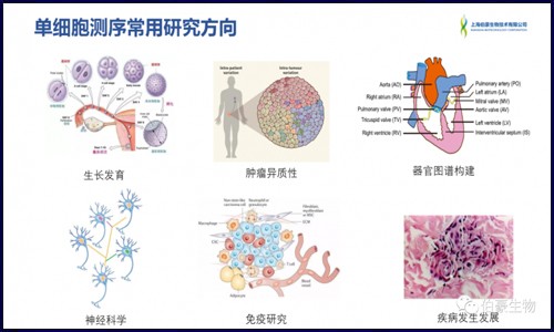 單細(xì)胞測序的熱點及案例解讀