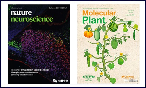 文獻(xiàn)集錦│8 月 DNA 甲基化研究新鮮速遞