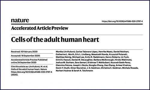 人類細(xì)胞圖譜計(jì)劃 | 心臟細(xì)胞圖譜數(shù)據(jù)公布！