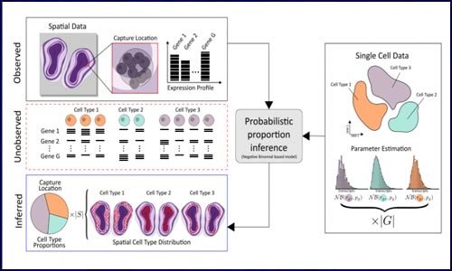 干貨 | 空間轉(zhuǎn)錄組聯(lián)合單細(xì)胞測序闡明細(xì)胞類型及空間位置信息