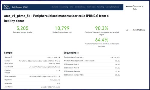 單細(xì)胞 ATAC 的 cellranger 質(zhì)控不會(huì)看？看這篇