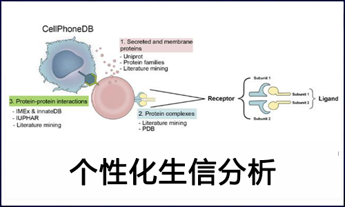 錦上添花 | 個(gè)性化分析之細(xì)胞通訊分析