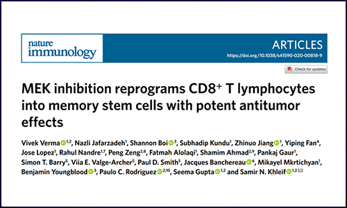 文獻(xiàn)集錦│11 月 DNA 甲基化研究新鮮速遞