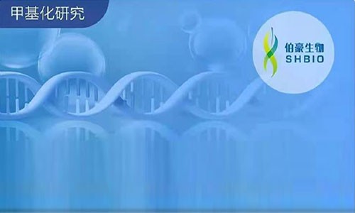 年終盤點│2020 年 RNA 甲基化研究熱點方向