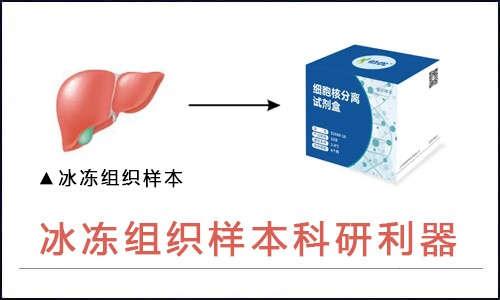 師兄又發(fā)文章了，我看著手里的冰凍組織很著急！