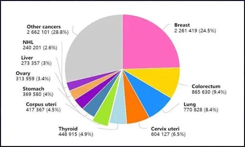 文獻(xiàn)錦集 | 乳腺癌文獻(xiàn)研究與應(yīng)用