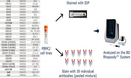伯豪生物 AbSeq Panel 助力單細胞多組學(xué)研究