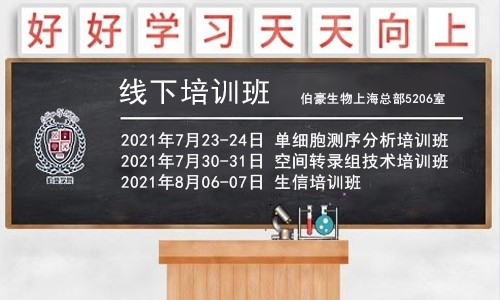 重磅！暑期系列培訓(xùn)班開課通知，6 月報(bào)名可享優(yōu)惠！