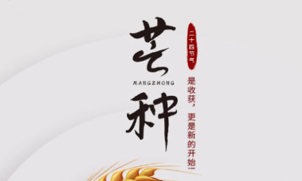 芒種 | 是收獲，更是新的開始！