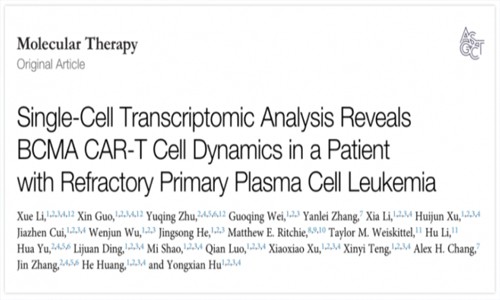 文獻解讀 | 單細胞轉(zhuǎn)錄組分析抗 BCMA CAR- T 細胞對白血病患者治療作用