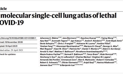 文獻解讀 |COVID-19 肺單細胞圖譜構(gòu)建