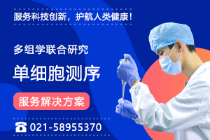 單細胞多組學研究一站式解決方案！