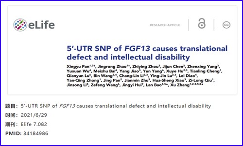 項(xiàng)目新文 | 全基因組測序技術(shù)揭示智力障礙致病性新突變位點(diǎn)的作用機(jī)制