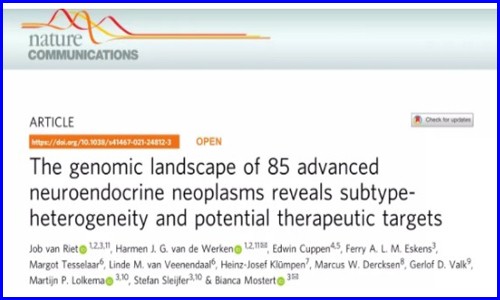 Nature Communications | 大規(guī)模晚期神經(jīng)內(nèi)分泌腫瘤全基因組測序揭示亞群異質(zhì)性和潛在治療靶點(diǎn)