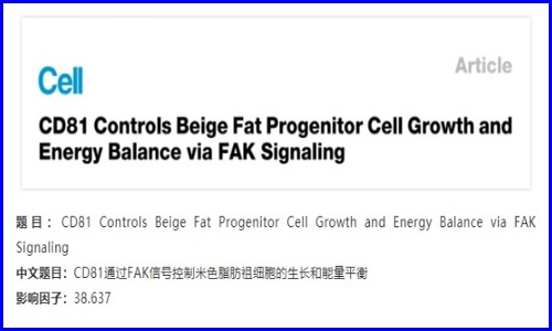 發(fā)育生物學(xué) | 單細(xì)胞測序解析米色脂肪的發(fā)育