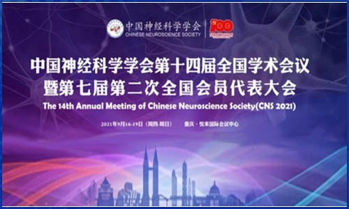 順利召開 | 伯豪生物應(yīng)邀參展的中國神經(jīng)科學學會第十四屆全國學術(shù)會議盛況空前