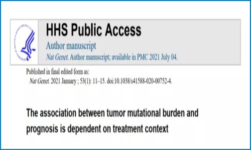 腫瘤免疫治療療效丨腫瘤突變負(fù)荷知多少