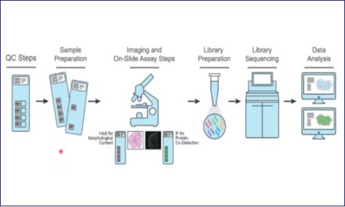 FFPE 樣本做空間轉(zhuǎn)錄組知多少？