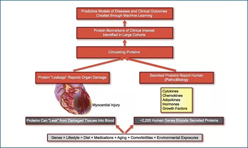 《歐洲心臟雜志》IF 29.983 | 一級(jí)預(yù)防：基于 Olink 改進(jìn)心血管風(fēng)險(xiǎn)預(yù)測(cè)新方案