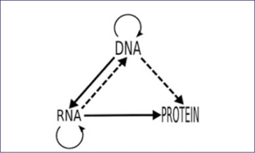 PEA 進(jìn)化史 | 從中心法則洞見蛋白組質(zhì)組學(xué)發(fā)展未來