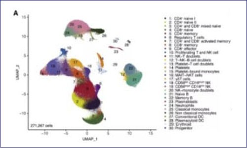單細(xì)胞測(cè)序 | 兒童炎癥綜合征的免疫失調(diào)和自身反應(yīng)性與 SARS-CoV- 2 的嚴(yán)重程度相關(guān)