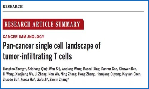 文章解讀 | 單細(xì)胞測(cè)序揭示腫瘤浸潤(rùn)性 T 細(xì)胞的泛癌單細(xì)胞圖譜