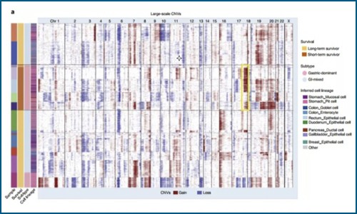 單細(xì)胞測(cè)序 | 單細(xì)胞測(cè)序技術(shù)揭示轉(zhuǎn)移性胃腺癌的瘤內(nèi)異質(zhì)性和譜系多樣性