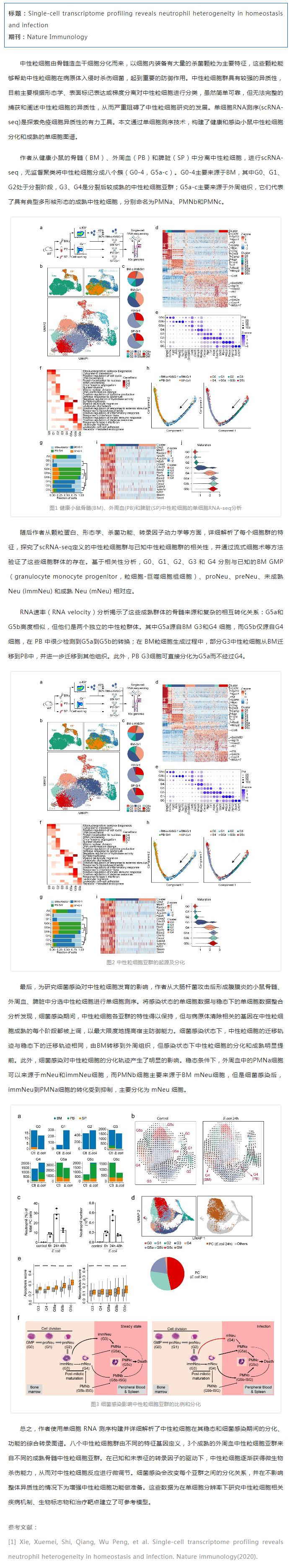 文獻(xiàn)解讀_單細(xì)胞 RNA 測(cè)序揭示健康和細(xì)菌感染小鼠中的中性粒細(xì)胞異質(zhì)性