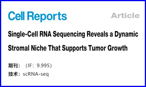 文獻(xiàn)解讀 |ScRNA-seq 揭示了動(dòng)態(tài)基質(zhì)生態(tài)位支持腫瘤生長(zhǎng)