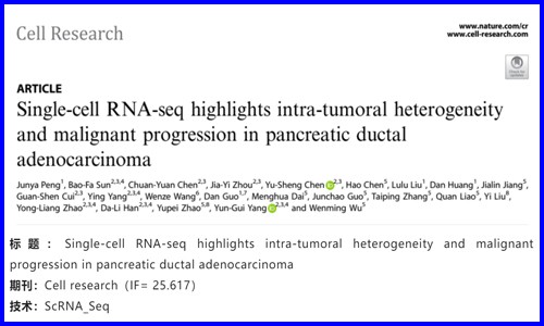 文獻(xiàn)解讀 | 單細(xì)胞 RNA-seq 揭示胰腺導(dǎo)管腺癌的腫瘤內(nèi)異質(zhì)性和惡性進(jìn)展