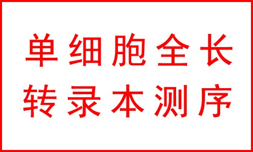 攜手及智醫(yī)學(xué) | 單細(xì)胞全長(zhǎng)轉(zhuǎn)錄本多組學(xué)服務(wù)來襲