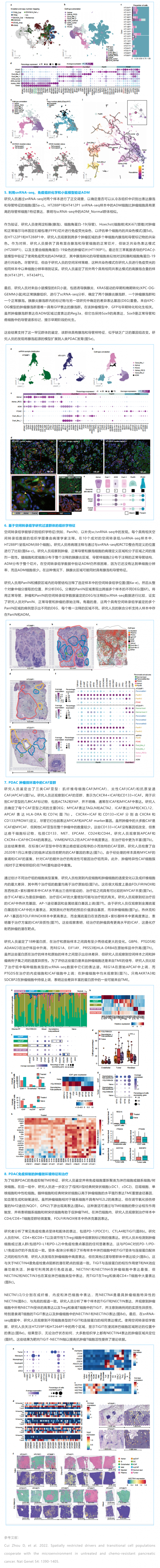 文獻(xiàn)解讀 | 未治療和化療耐藥胰腺癌中空間受限的驅(qū)動(dòng)因子和過渡細(xì)胞群與微環(huán)境的互作 2