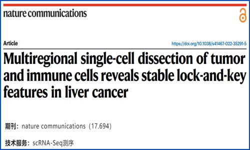 文獻(xiàn)解讀 | 基于多區(qū)域單細(xì)胞測(cè)序揭示肝癌組織中腫瘤細(xì)胞與免疫細(xì)胞鑰鎖特性