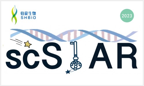 項(xiàng)目文章 | 復(fù)旦大學(xué)鄒欣 / 郝潔團(tuán)隊(duì)通過構(gòu)建單細(xì)胞新算法 scSTAR 實(shí)現(xiàn)單細(xì)胞動(dòng)態(tài)轉(zhuǎn)錄組分析