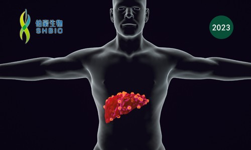 文獻(xiàn)解讀 | 原發(fā)性肝癌空間結(jié)構(gòu)綜合分析