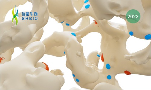 單細(xì)胞項目文章 | SCUBE2 調(diào)控免疫抑制的成骨細(xì)胞微環(huán)境介導(dǎo) luminal 型乳腺癌的骨轉(zhuǎn)移