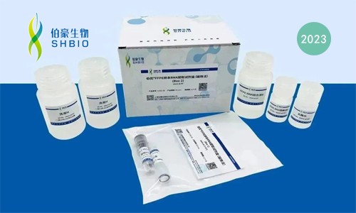 新品發(fā)布 | 伯優(yōu) FFPE 樣本 RNA 提取試劑盒