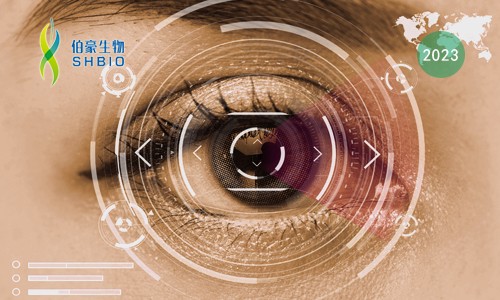 空轉(zhuǎn)寶典 | 新鮮樣本：10X Genomics V1 與 V2 該如何抉擇？