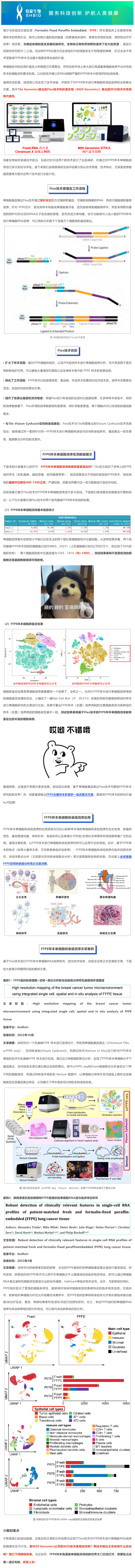 用證據(jù)說話——實測 FFPE 樣本進行單細胞測序狠好使！