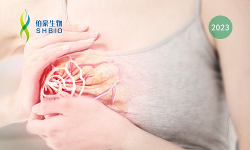 文獻(xiàn)解讀 | 結(jié)合單細(xì)胞和空間轉(zhuǎn)錄組揭示乳腺癌傳播過程中的代謝演變