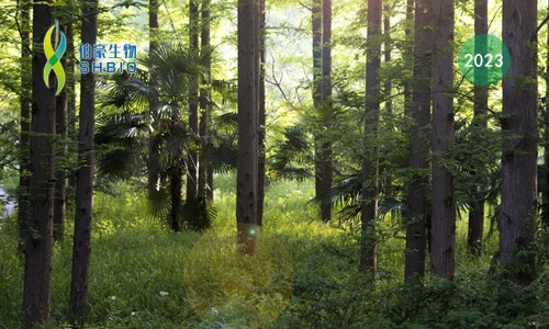 會議邀請 | 伯豪生物誠邀您參加第八屆中國林業(yè)學術大會