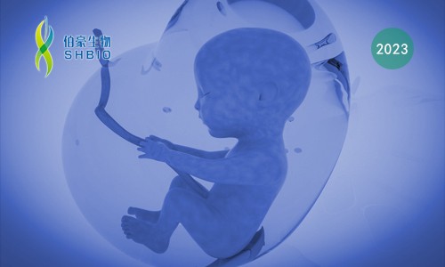 項(xiàng)目文章 | 轉(zhuǎn)錄組測(cè)序分析揭示了基因在產(chǎn)前 PM2.5 暴露后男性后代髓磷脂異常發(fā)育中的潛在作用