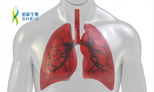 文獻(xiàn)解讀 | 單細(xì)胞 RNA-seq 揭示特發(fā)性肺纖維化中異位和異常的肺駐留細(xì)胞群